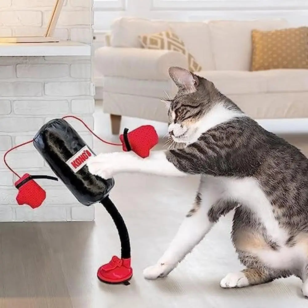 KONG Punching bag for the cat champion.