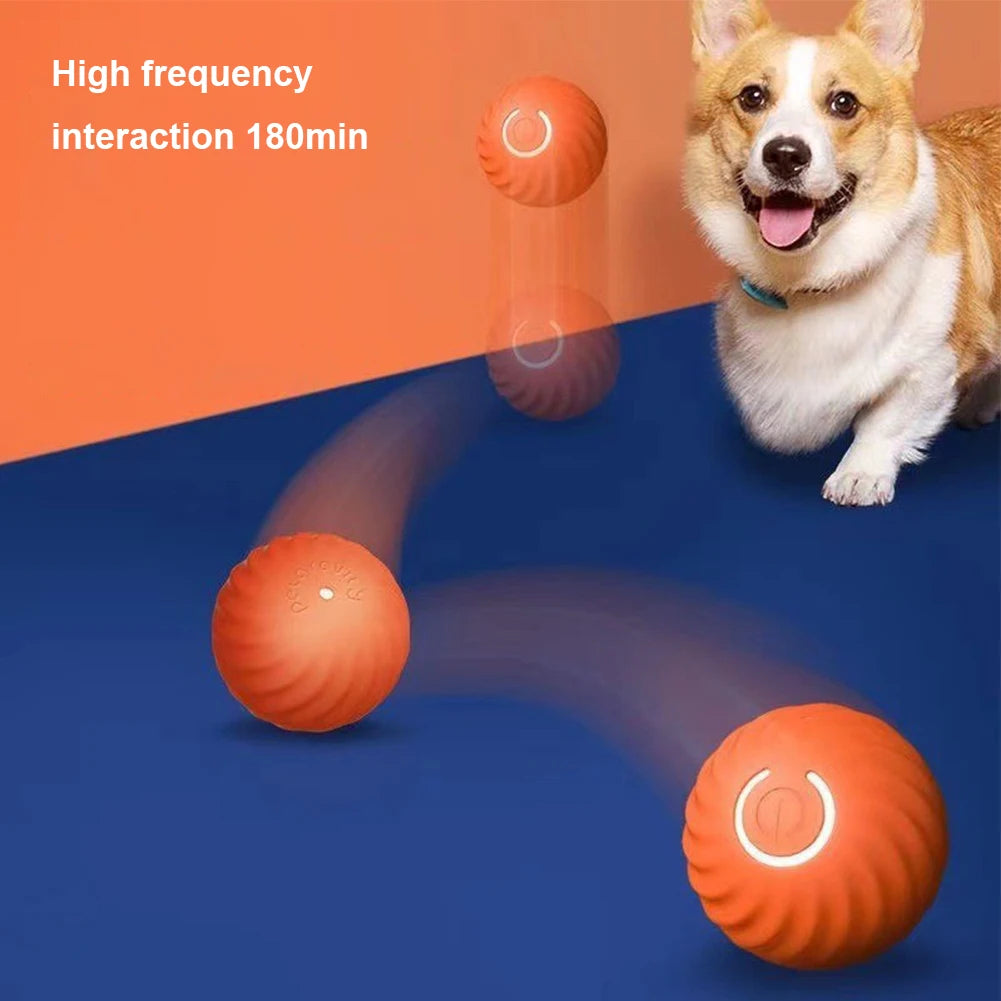 Interactive Automatic Pet Toy Ball