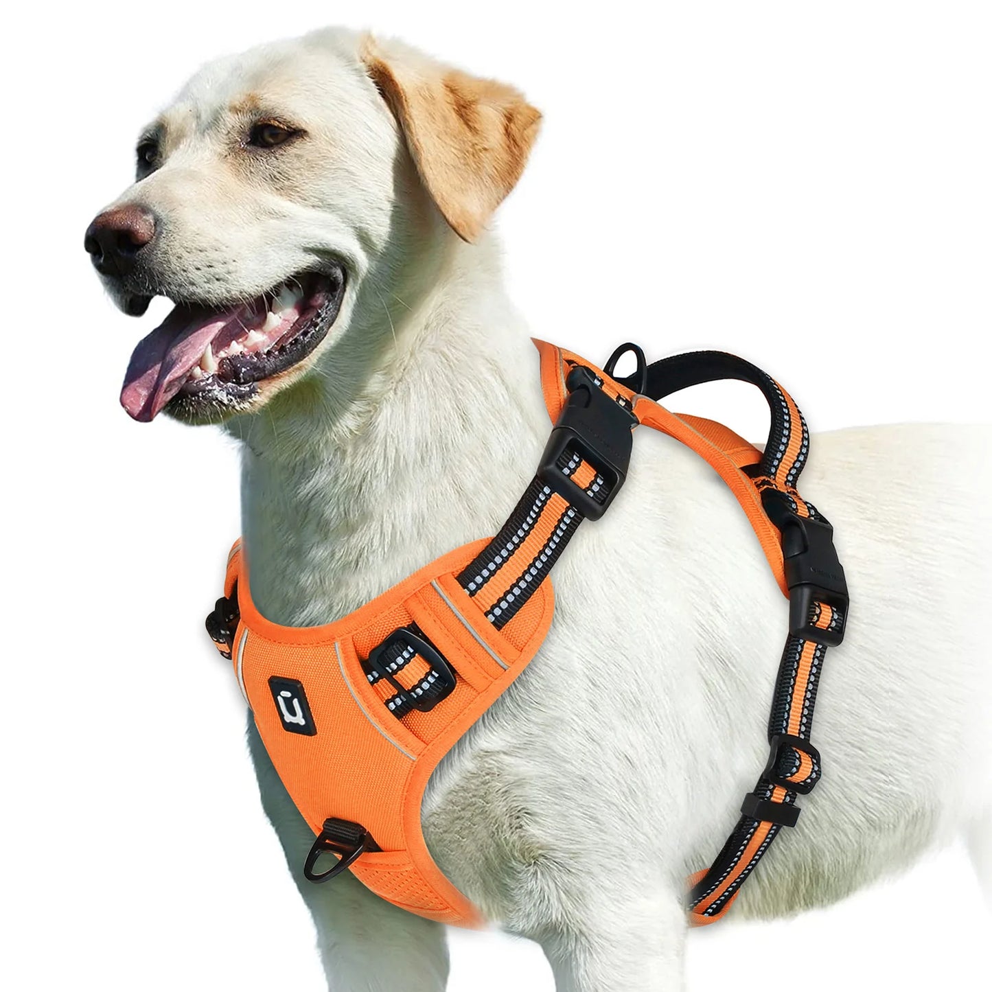 Soft Padded Harness 9 colors available