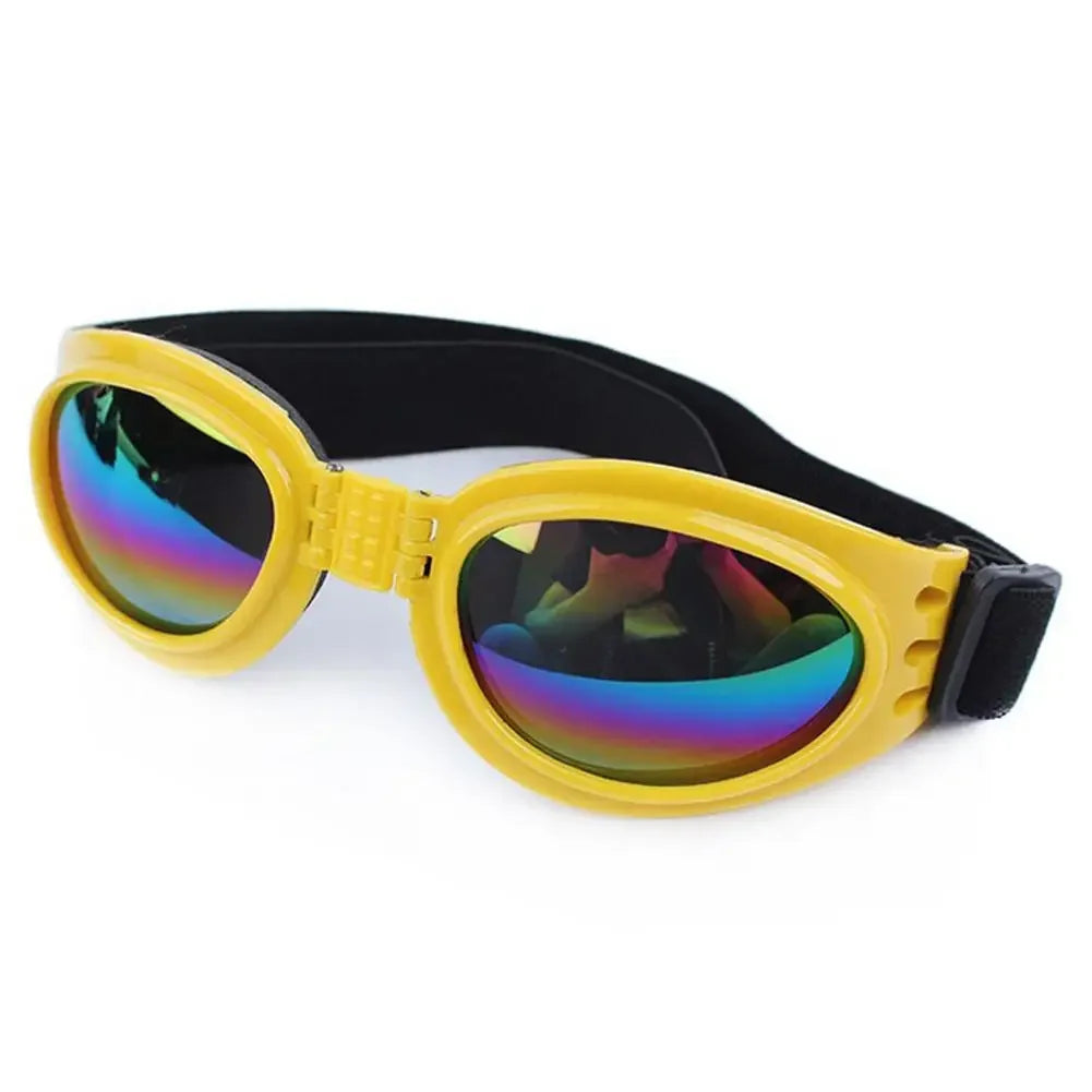 Pet sunglasses