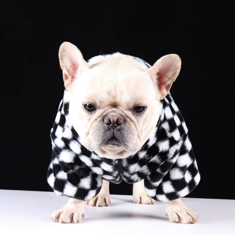 Stylish checkered dog coat