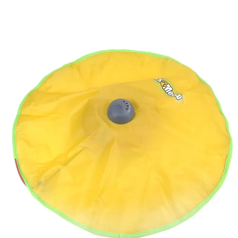 Turntable Rotatable Hide and Seek Spinner