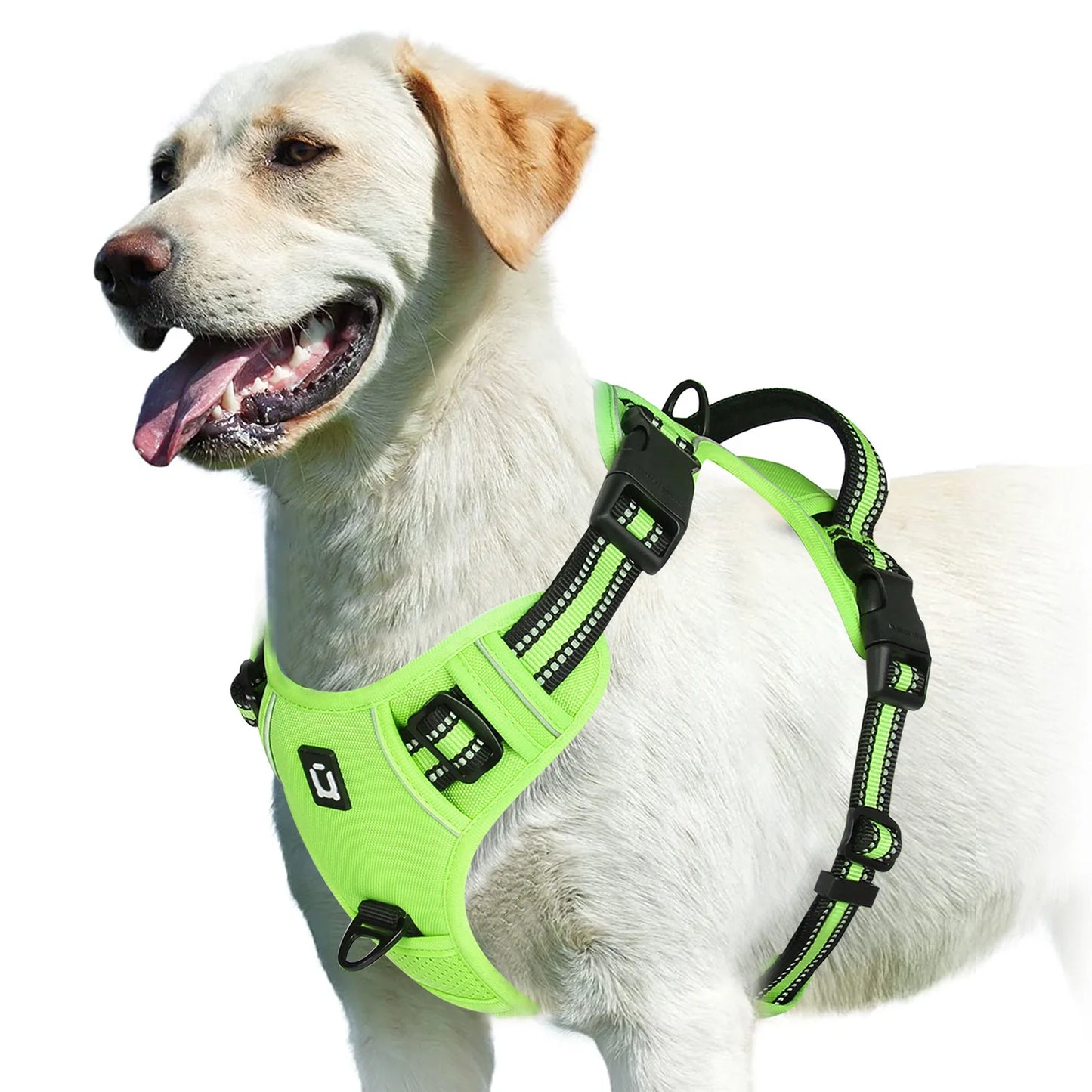 Soft Padded Harness 9 colors available
