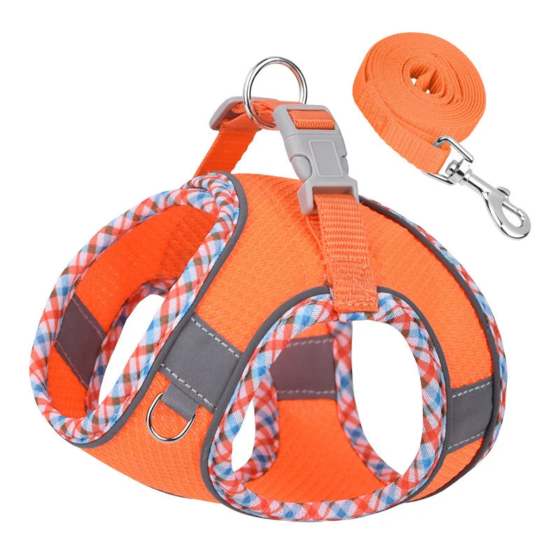 Outdoors Harness and Leash Set for Small Medium Dogs