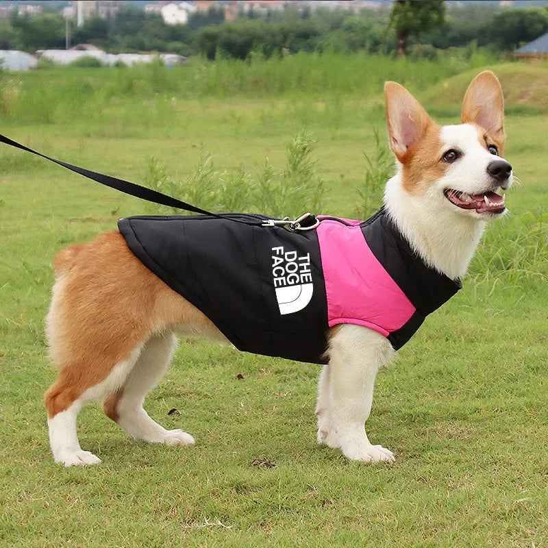 The Dog Face Padded Jacket