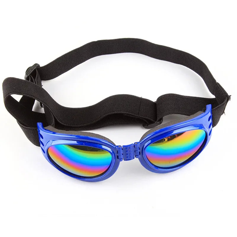 Pet sunglasses
