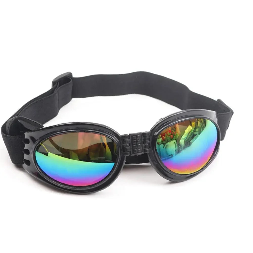 Pet sunglasses