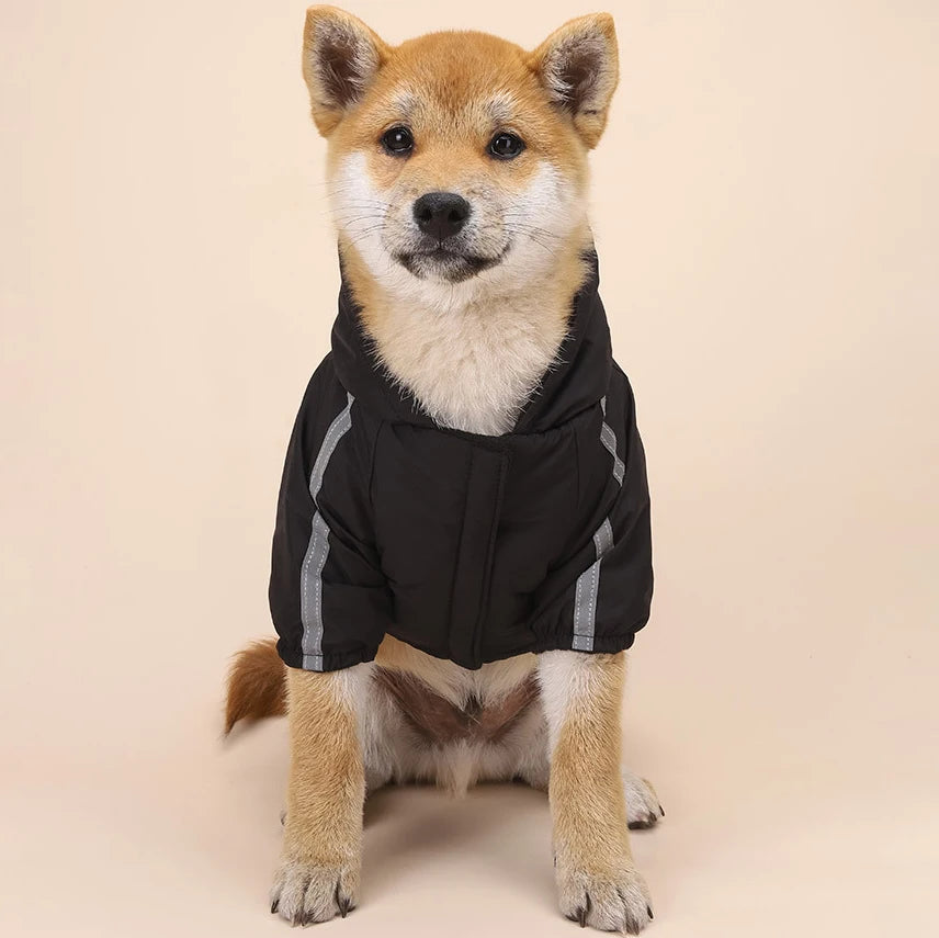 Waterproof The Dog Face