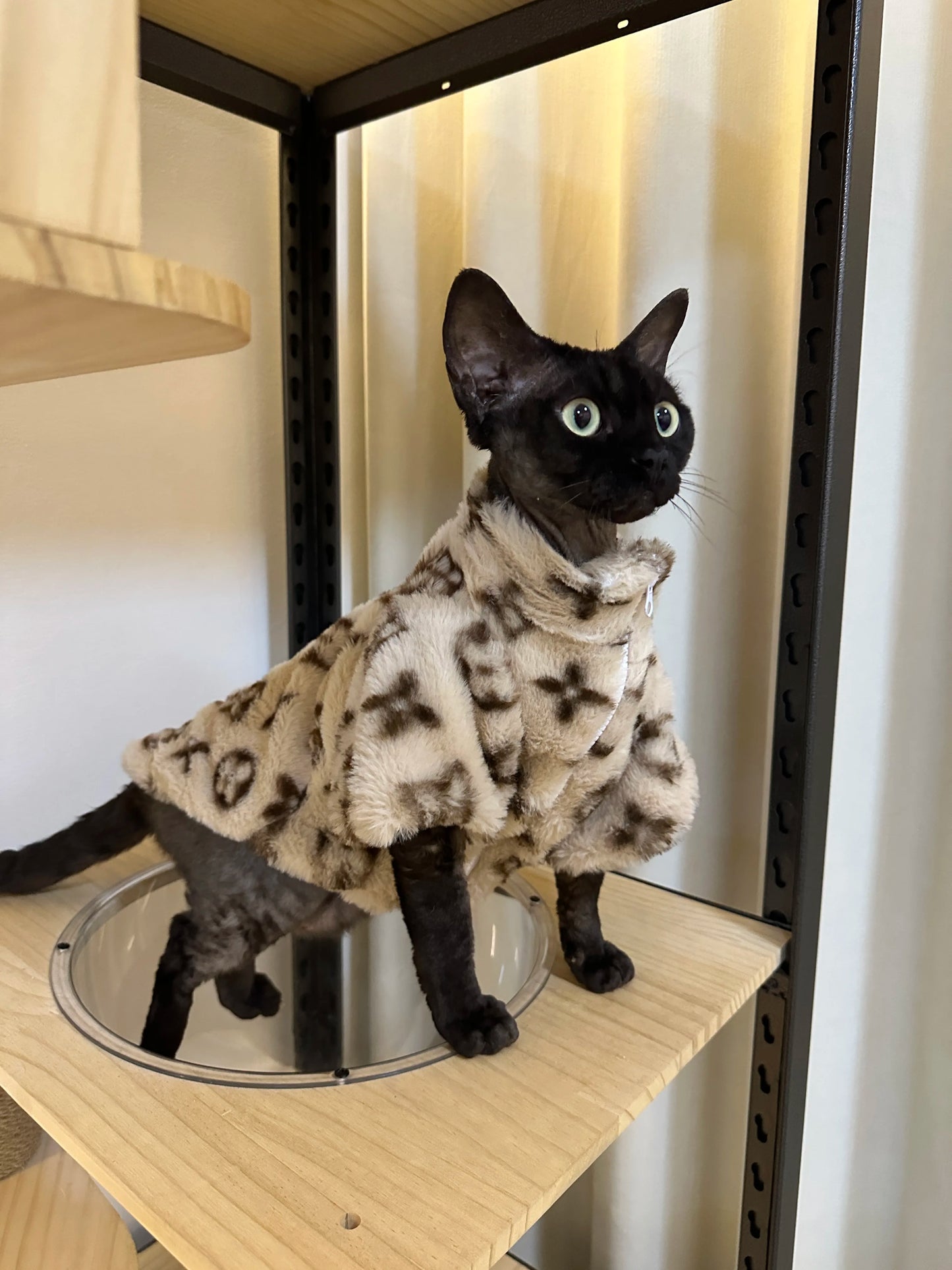 The Faux Louis Vuitton Dog Jacket – For the Pooch with Posh Taste