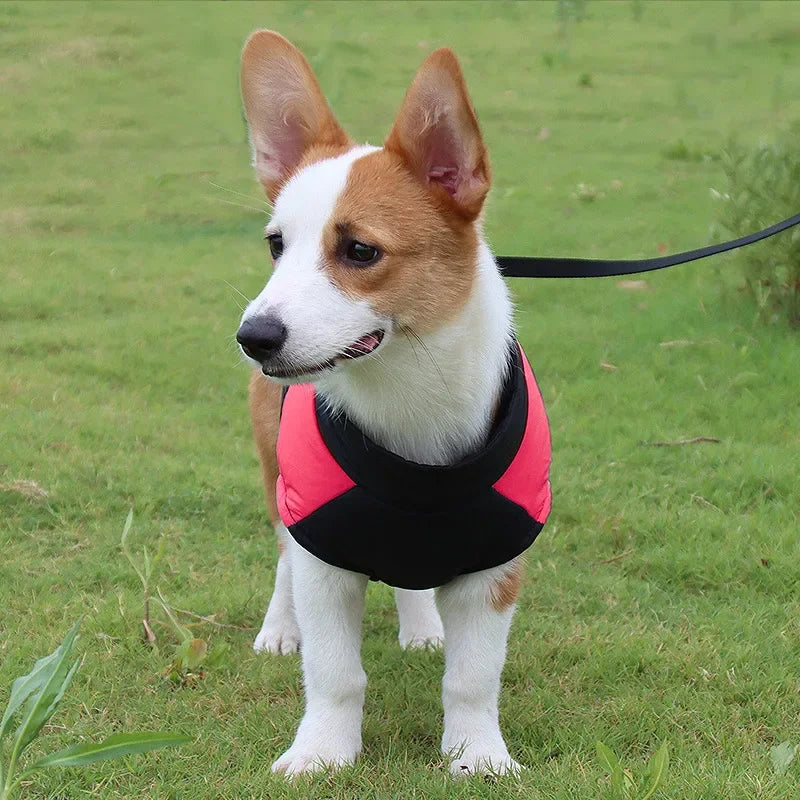 The Dog Face Padded Jacket
