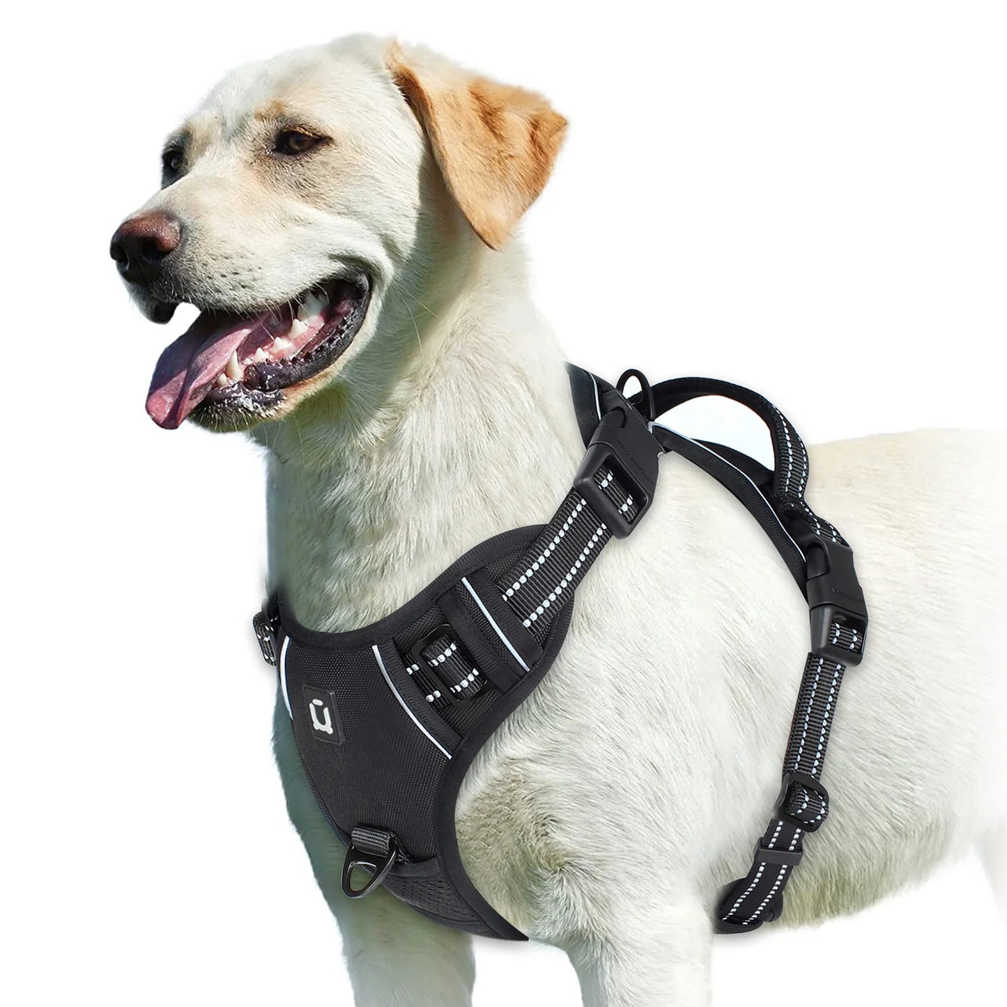 Soft Padded Harness 9 colors available