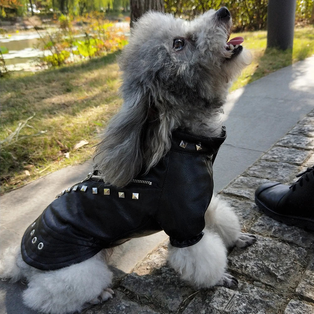 Canine Chic Leather look biker pup
