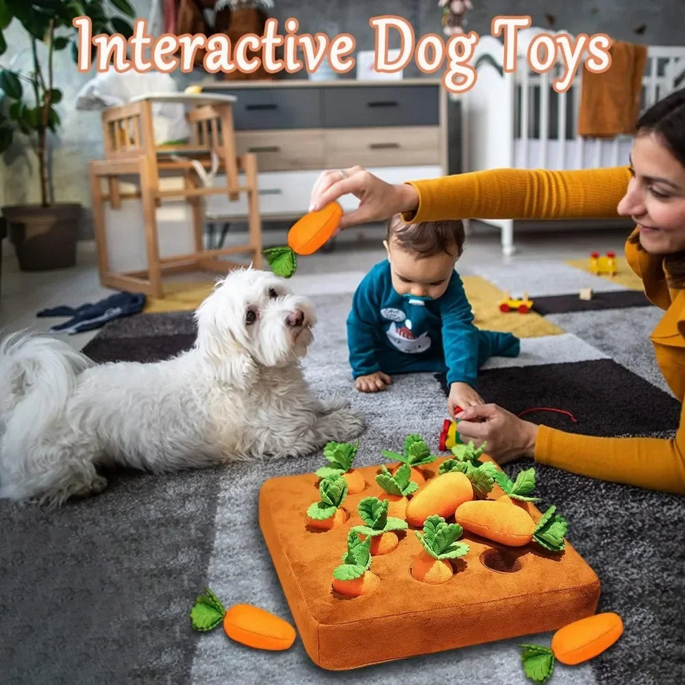 Carrot or Strawberry Snuffle Mat for Dogs and Cats