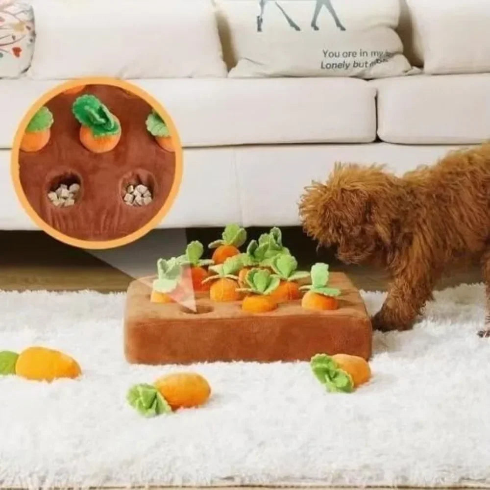 Carrot or Strawberry Snuffle Mat for Dogs and Cats