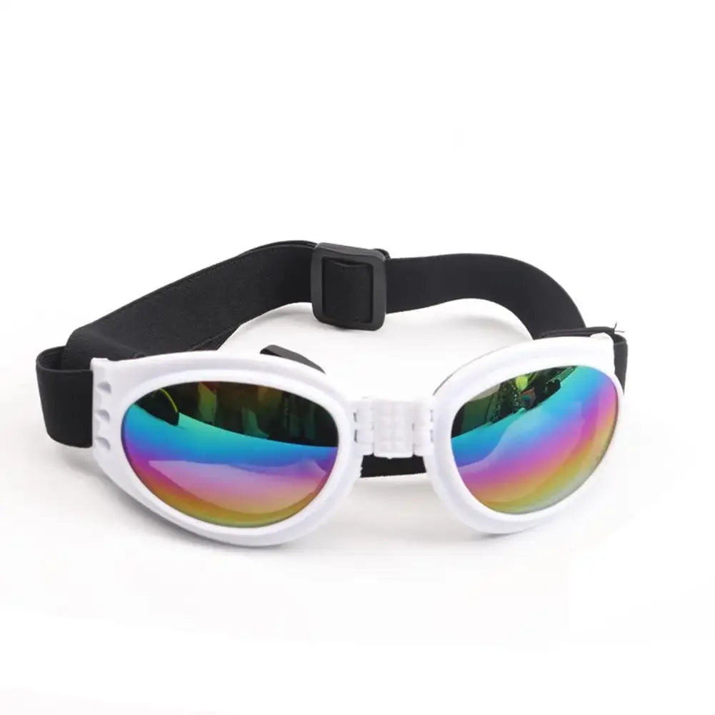 Pet sunglasses