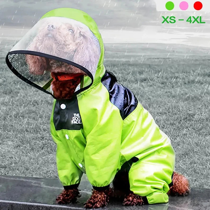 Drizzle Splash Suit