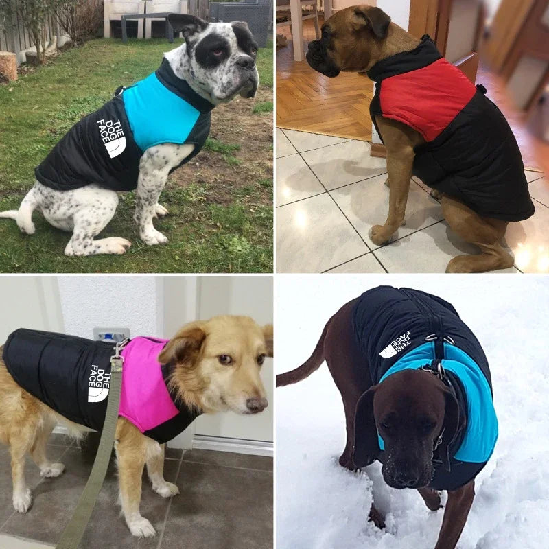The Dog Face Padded Jacket