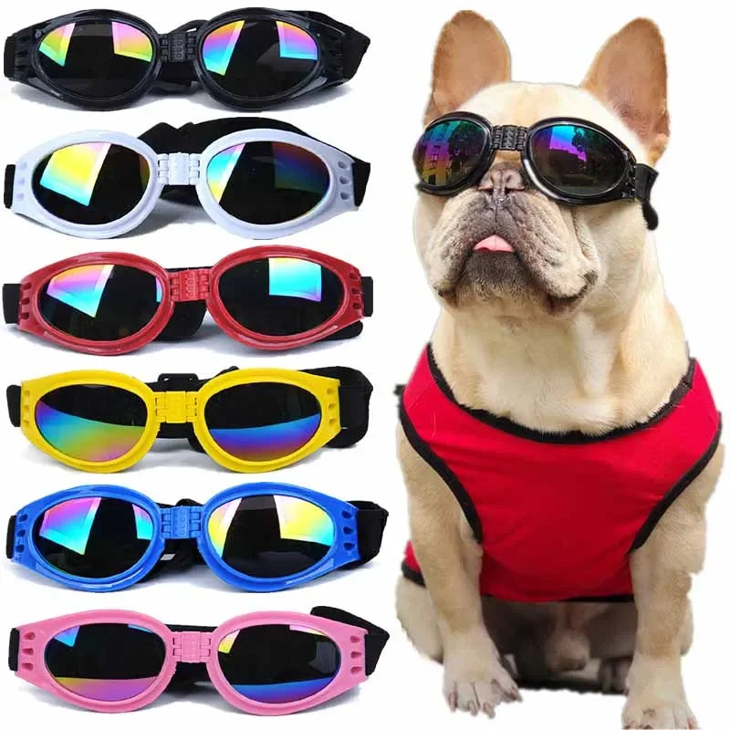 Pet sunglasses