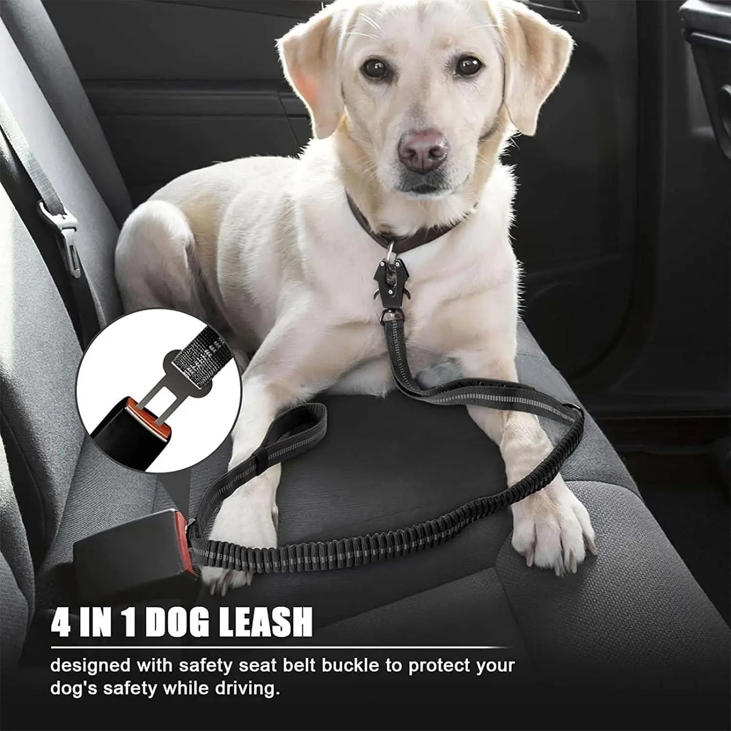 Shock Absorbing Leashe with Car Seatbelt and reflective.