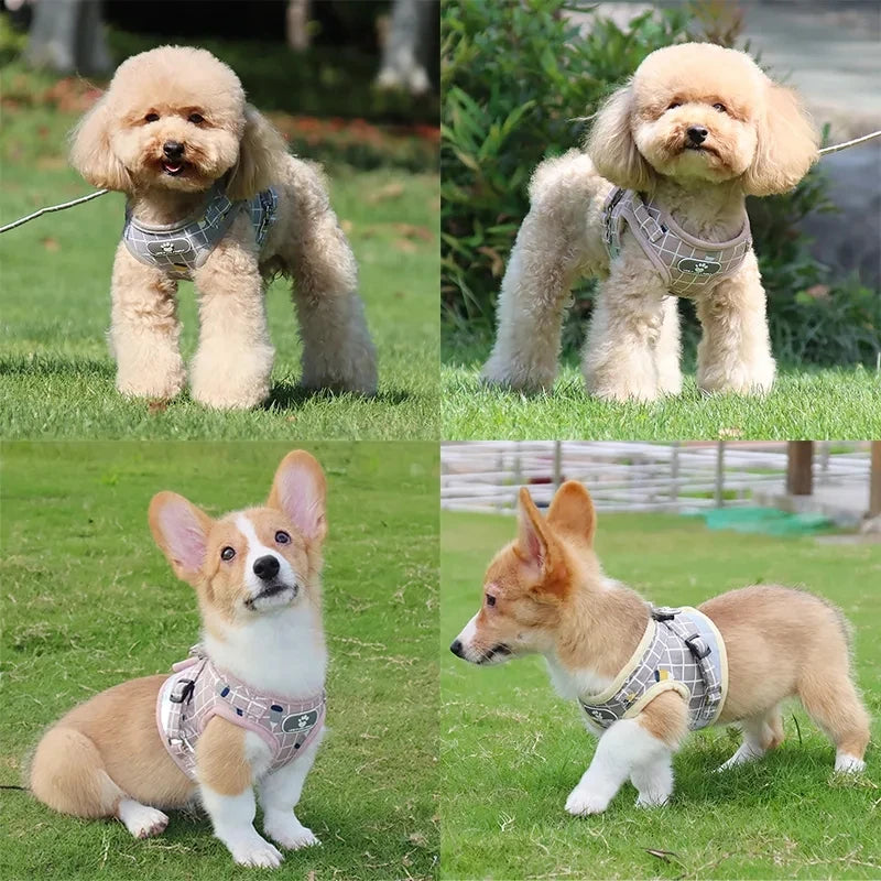 Checkered Pet harness