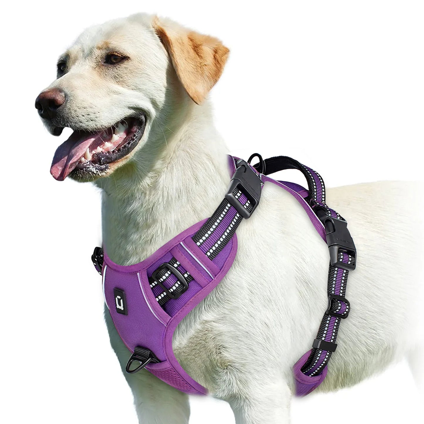 Soft Padded Harness 9 colors available