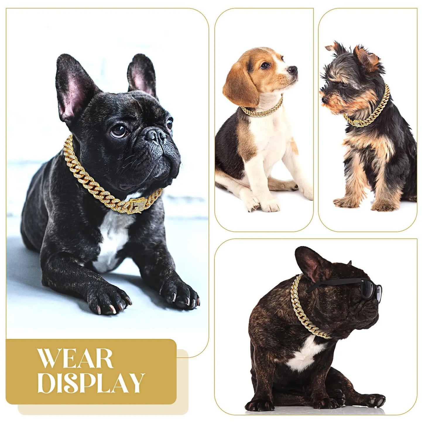 Jewelzzzz chain/collar