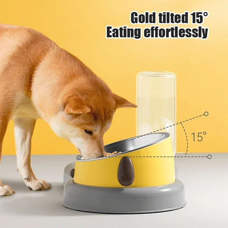 Dog water and food bowl