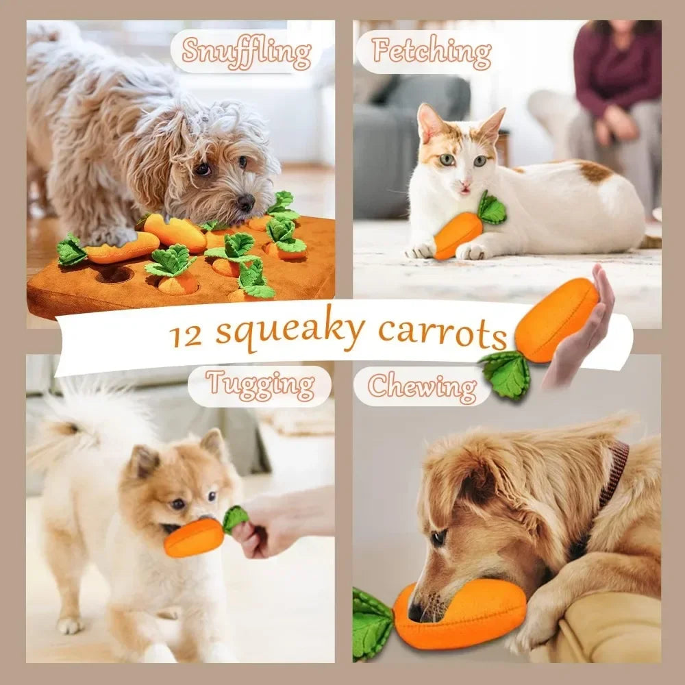 Carrot or Strawberry Snuffle Mat for Dogs and Cats