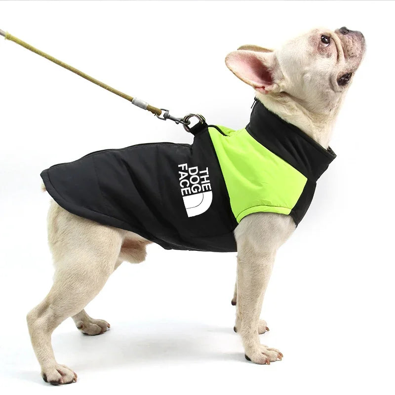 The Dog Face Padded Jacket