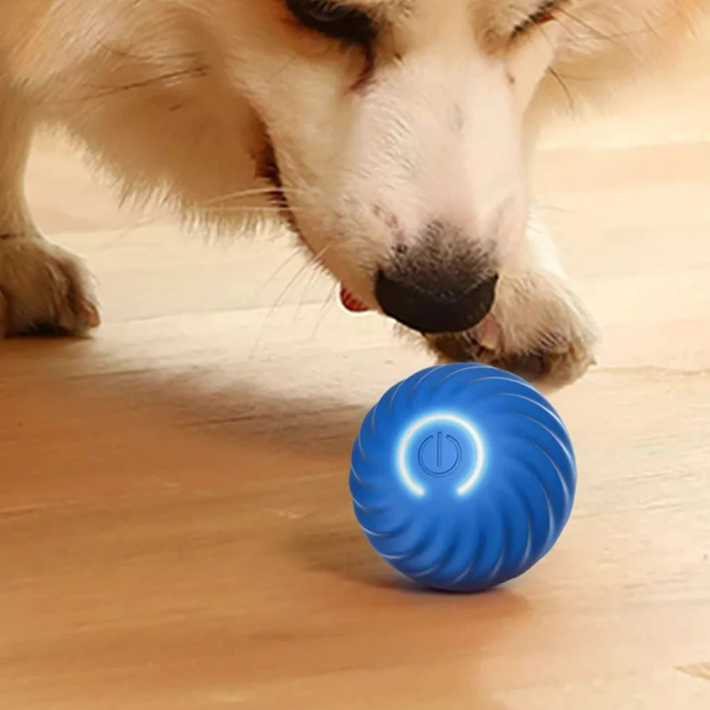 Interactive Automatic Pet Toy Ball