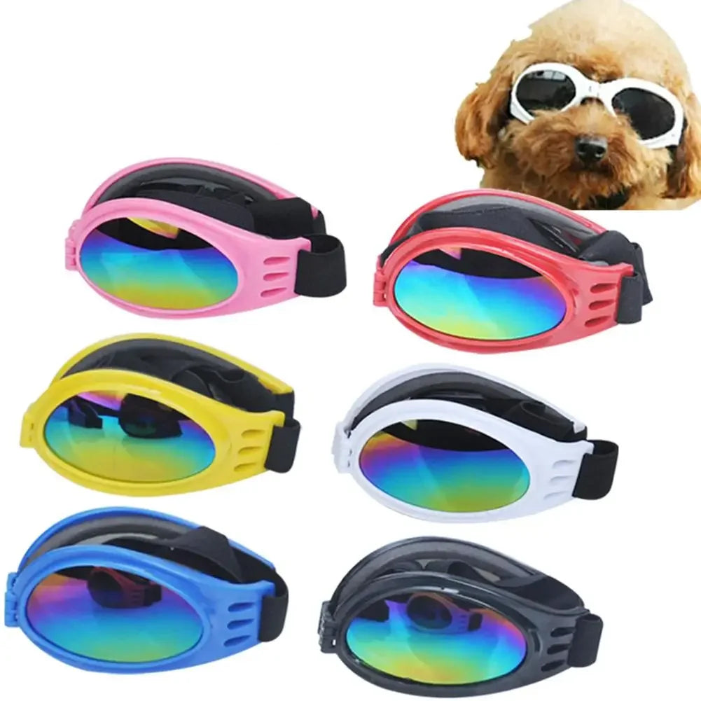Pet sunglasses