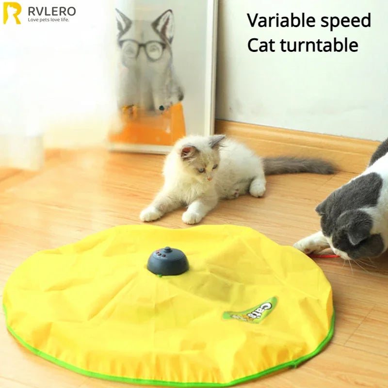 Turntable Rotatable Hide and Seek Spinner