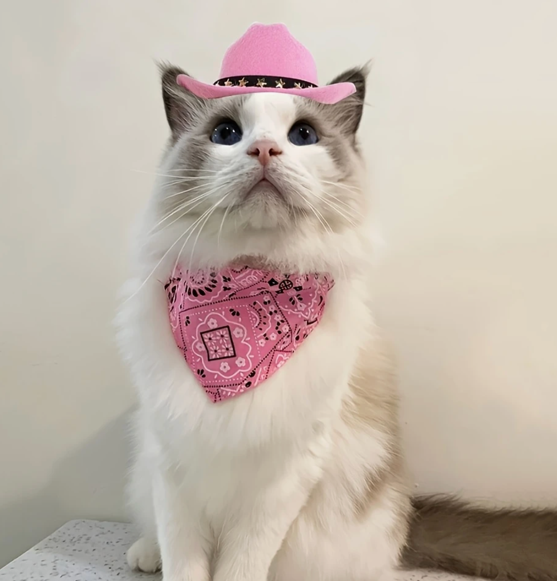 CowGirl Hat with bandana collar-Small