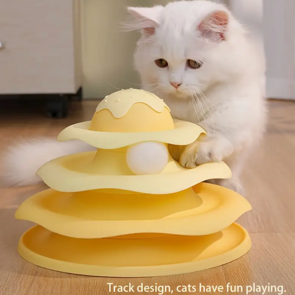 Cat Turntable