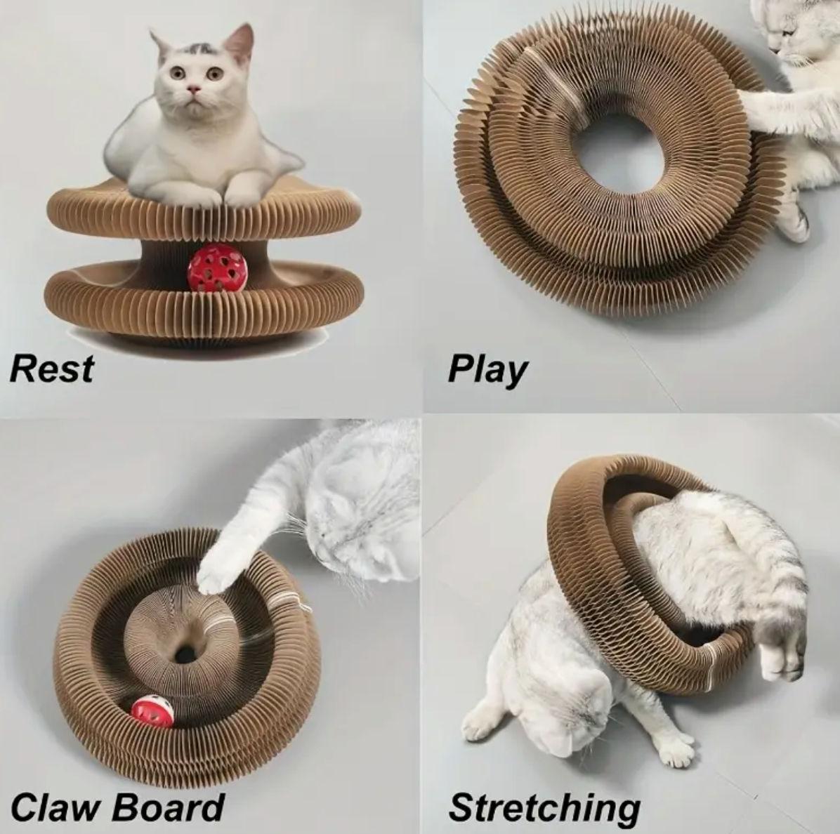 Interactive Cat Toy/Scratcher