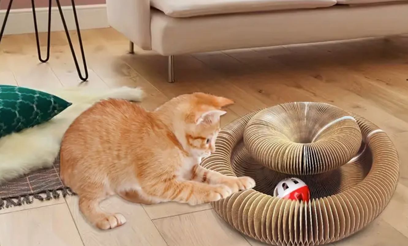 Interactive Cat Toy/Scratcher