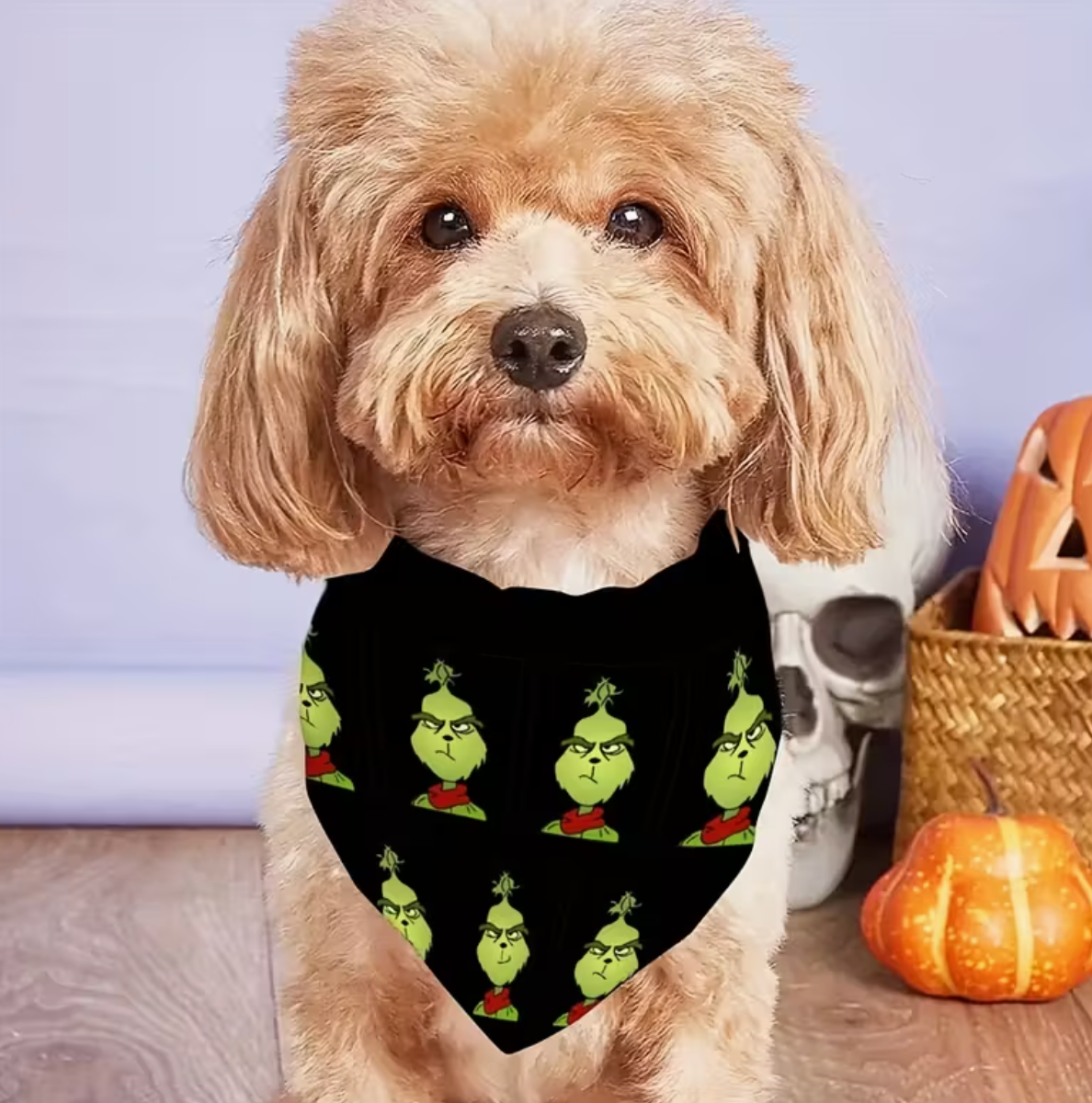 The Grinch Bandana-Black