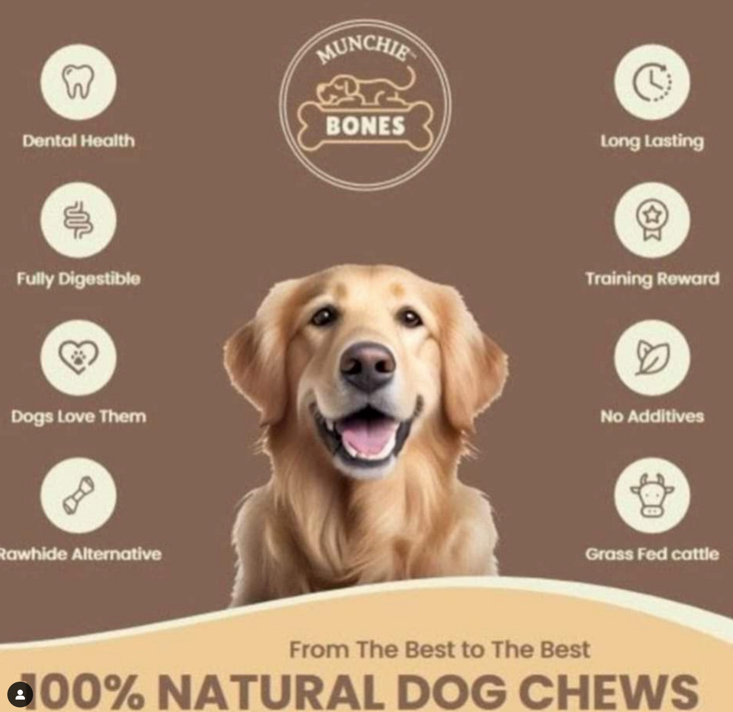 6"- 6 Pack- Medium -Low odour Bully Sticks (pairs well with Med Bully holder or Bully Lok)