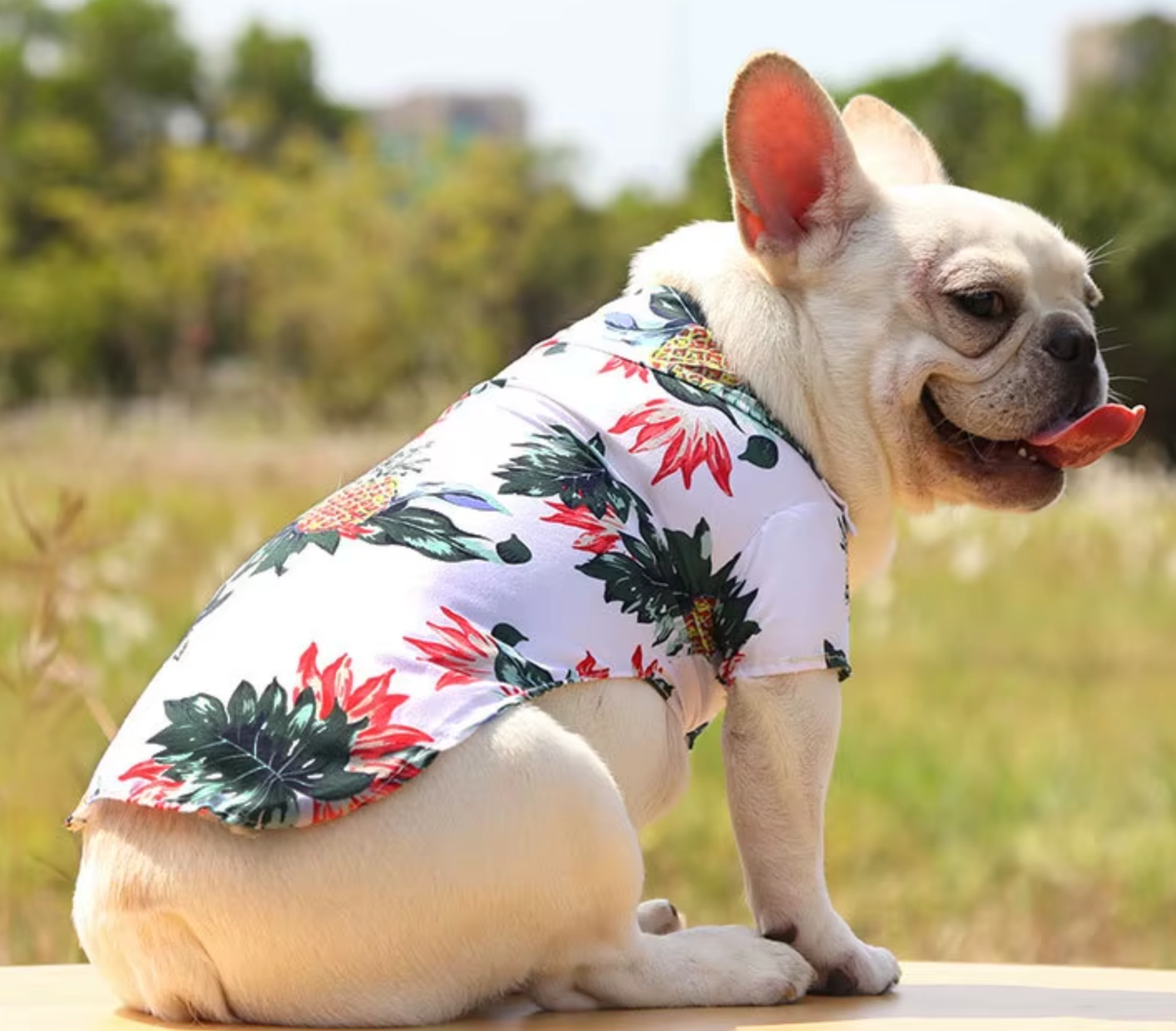 Hawaiian Beach Style Dog T-Shirts