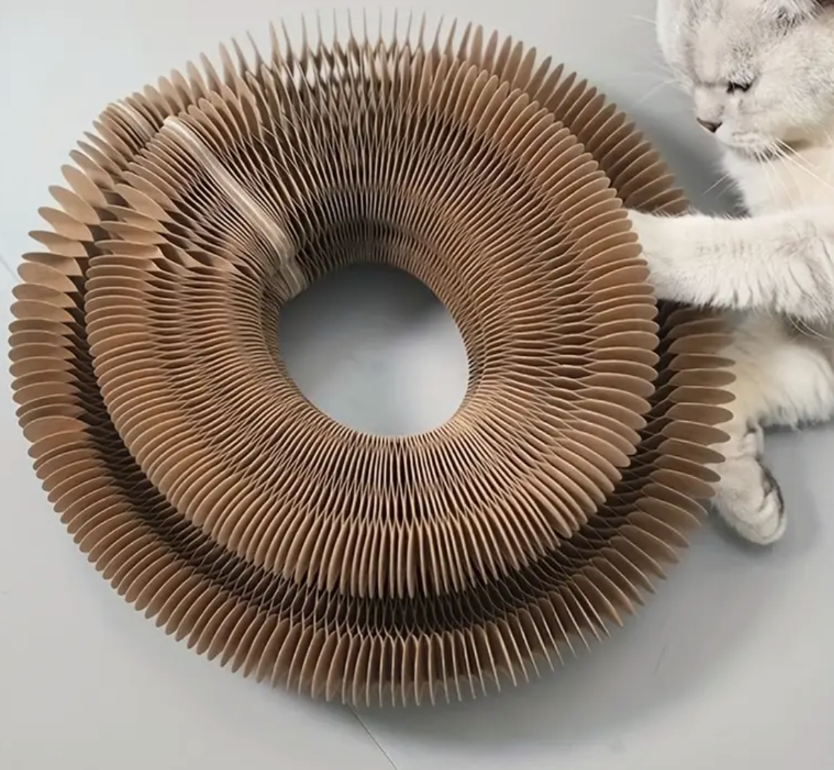 Interactive Cat Toy/Scratcher