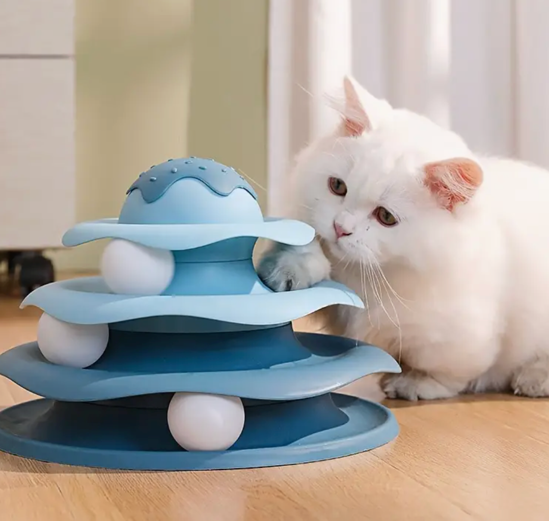 Cat Turntable