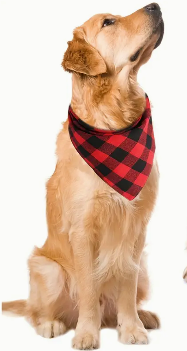Plaid bandana