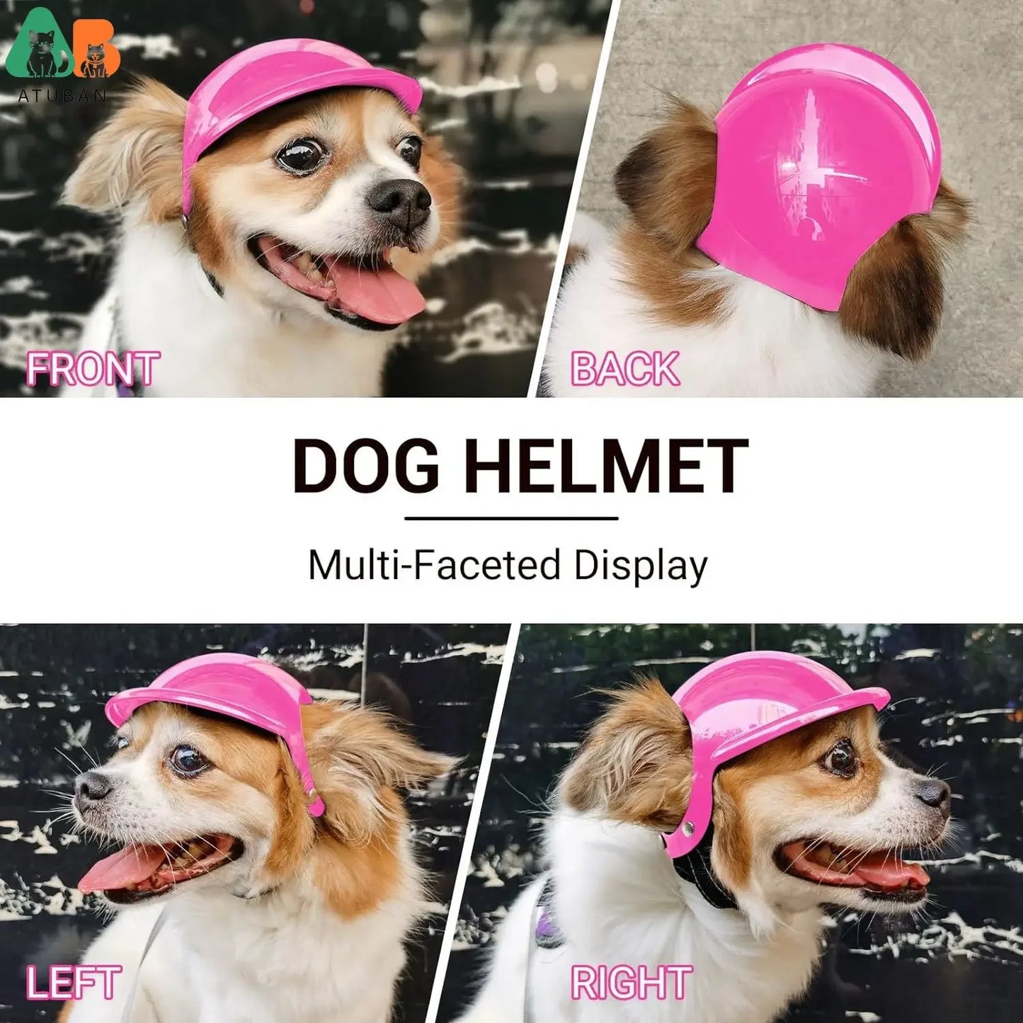Canine Cruiser