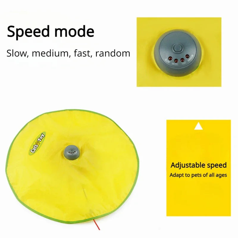 Turntable Rotatable Hide and Seek Spinner