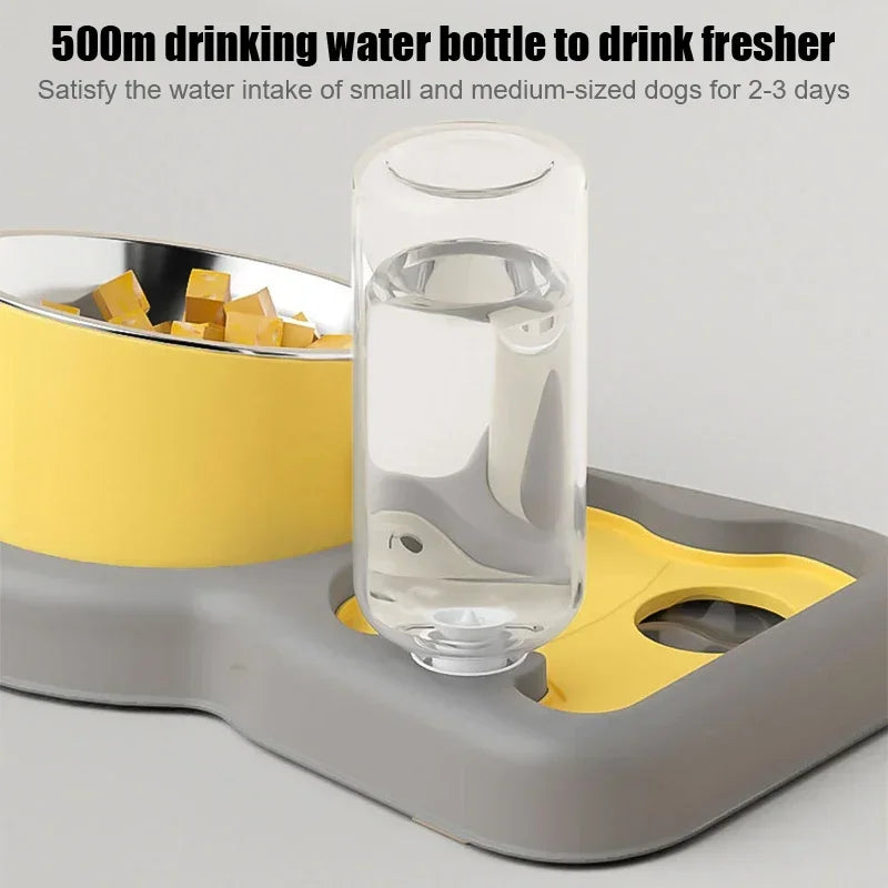 Dog water and food bowl