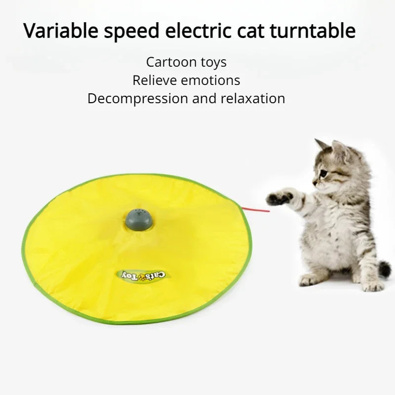 Turntable Rotatable Hide and Seek Spinner