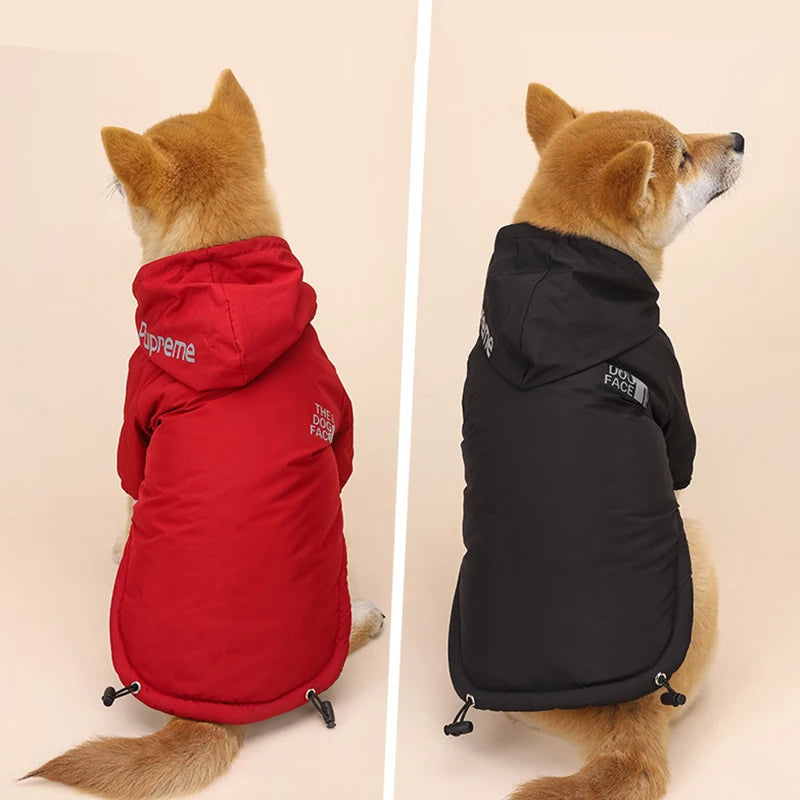 Waterproof The Dog Face
