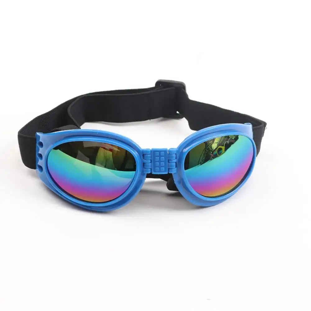 Pet sunglasses