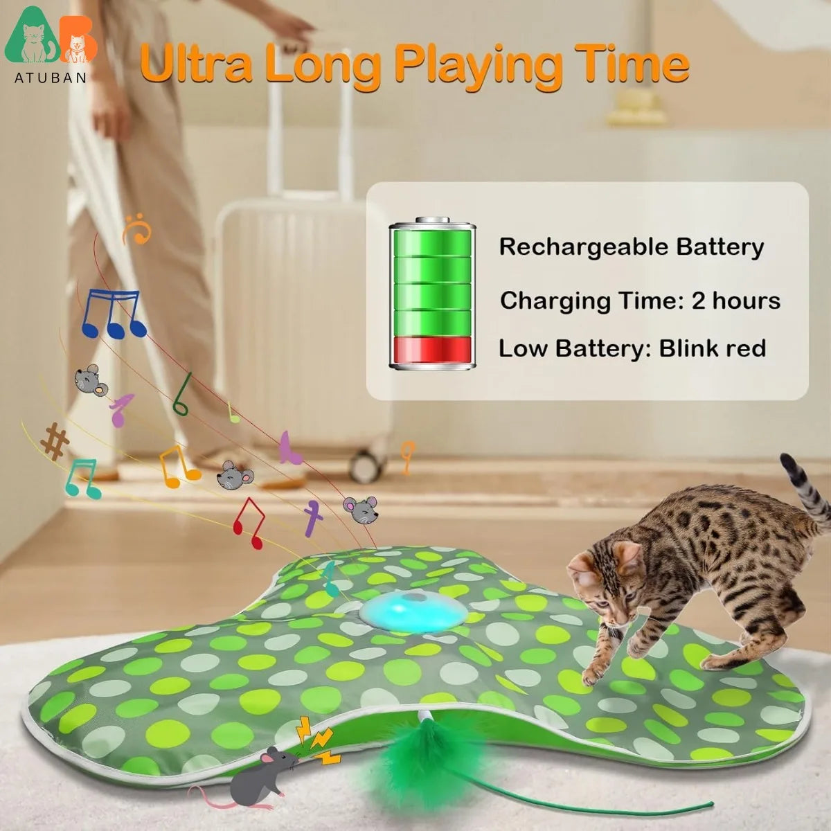 Interactive Cat Clover