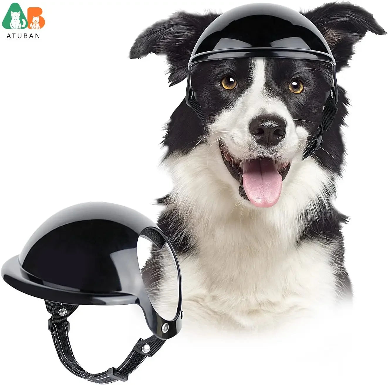 Canine Cruiser